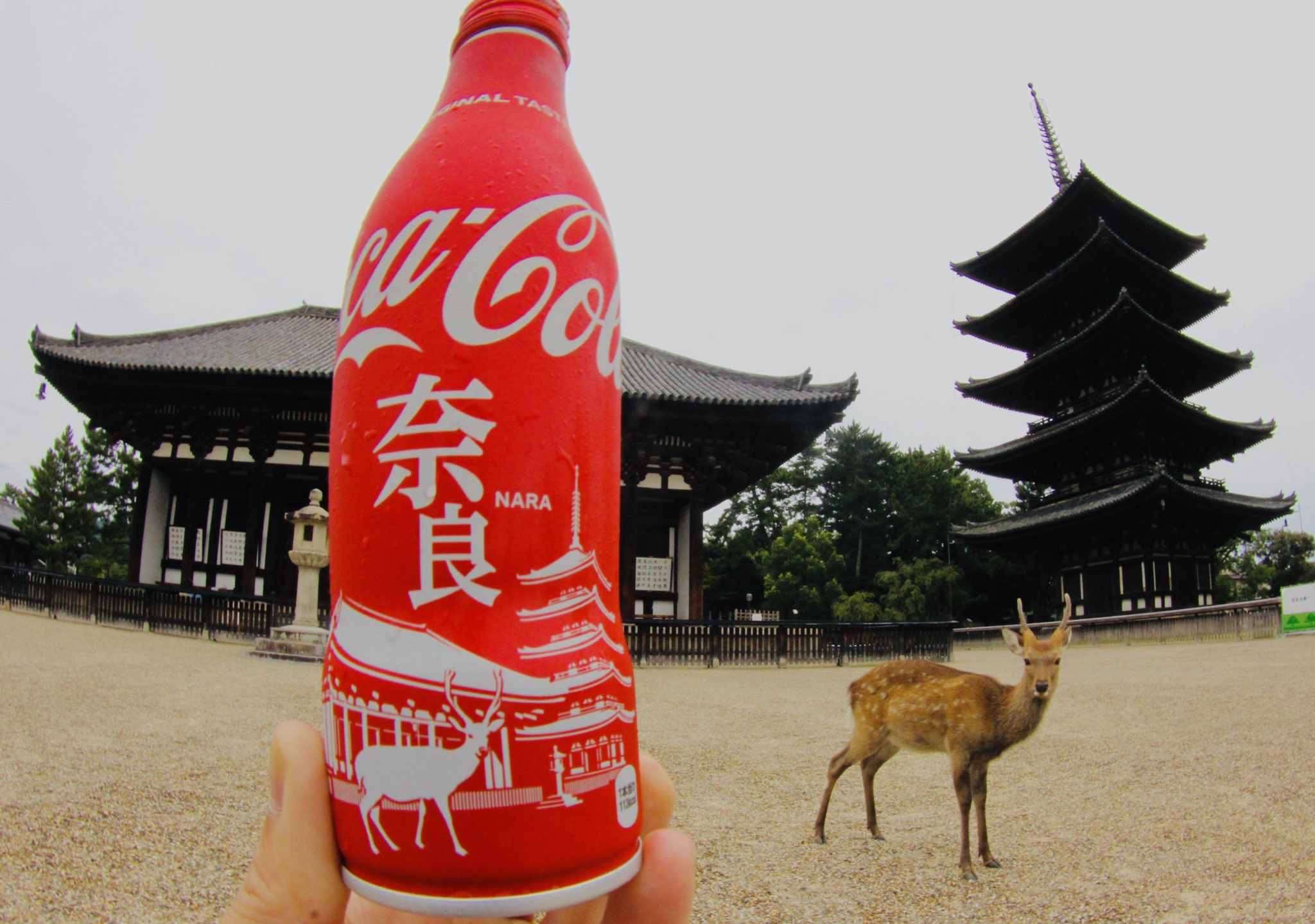 やまもっちゃん コカコーラの奈良ボトルは 世界遺産 興福寺の五重塔と東金堂に鹿さんがイラストされています 今日はこのモデルさんに会いました T Co 9gfgwg8rqv Twitter
