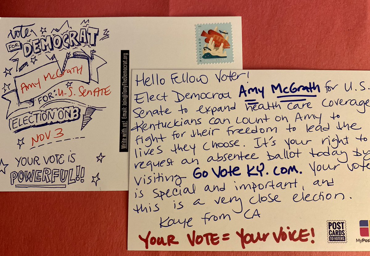 With your addresses, you will also get a list of optional candidate items & optional generic items (e.g., “Your Vote = Your Voice”) that you may want to add to your postcards. You don’t have to use them but there are lots of great phrases to choose from if you want.