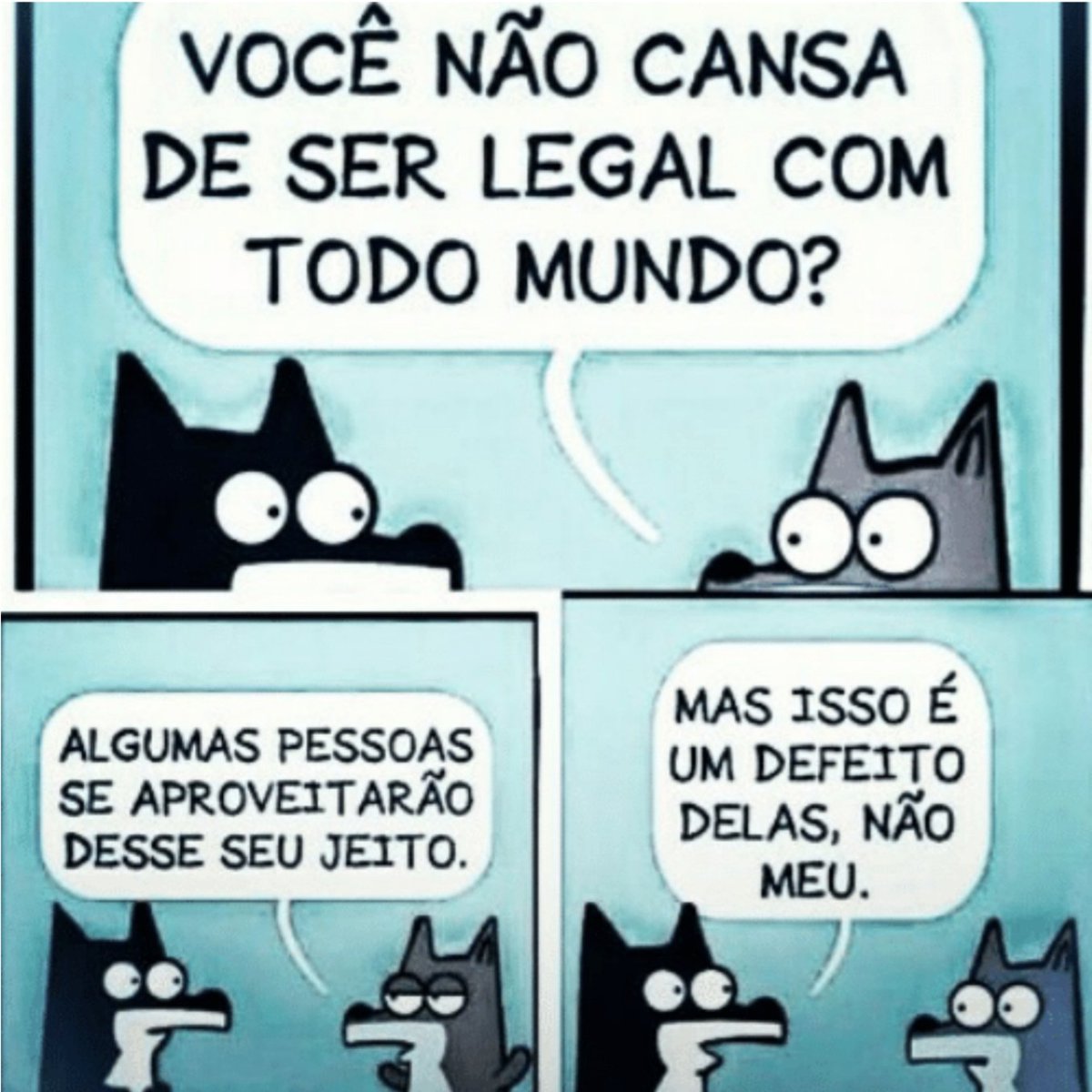 saulo tweet media