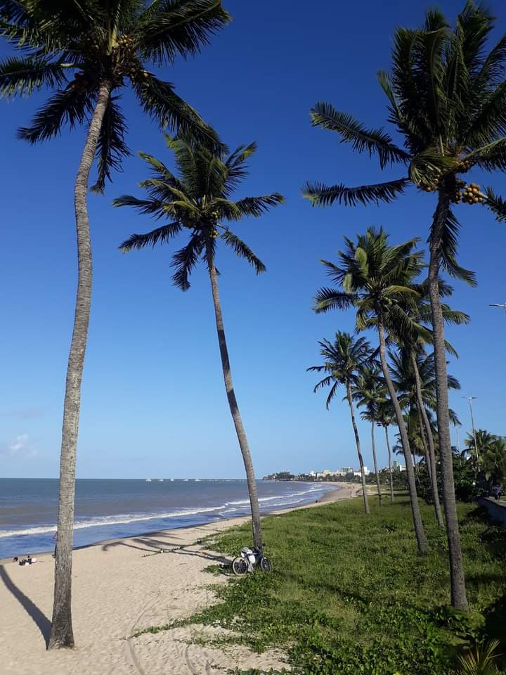 𝙉𝙞𝙪𝙧𝙖 𝘾𝙖𝙨𝙩𝙧𝙞𝙡𝙡𝙤́𝙣 🇧🇷 tweet media