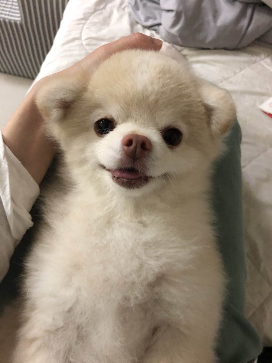 이름이 감자인 동물을 모임을 하면 너무너무 귀여울거같다
일단 감자1 (1/nnn)