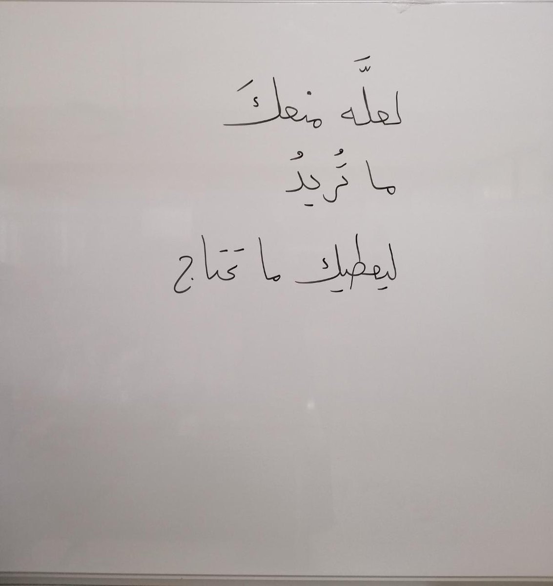 adhamsharkawi tweet picture
