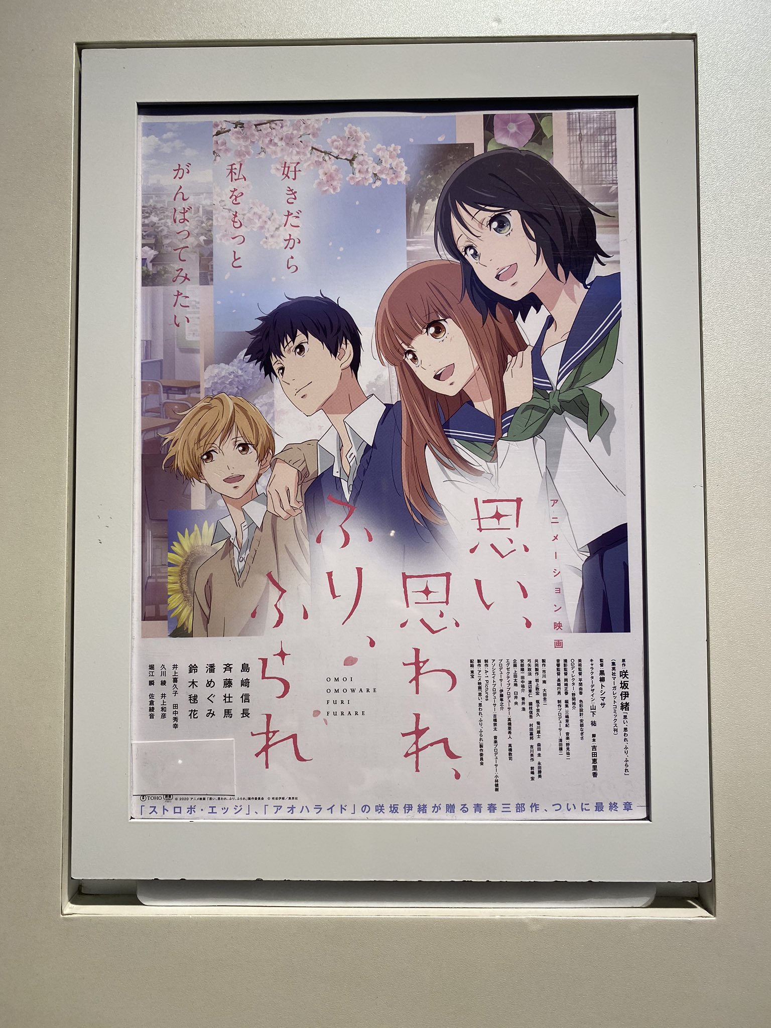 An ふりふらアニメ映画観て来ました 原作とは少し違う所もあるけどとても素晴らしい映画でした 挿入歌 で使われた曲もタイミングも良くてめっちゃ泣いた 本当に本当にふりふらアニメ映画良かったです 思い思われふりふられ T Co F2z0ctozh2