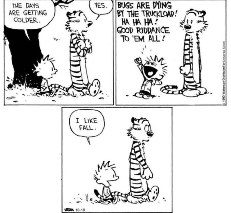 Calvinn_Hobbes's tweet photo. Hooray for fall! #CalvinandHobbes https://t.co/54W1WPGWEm