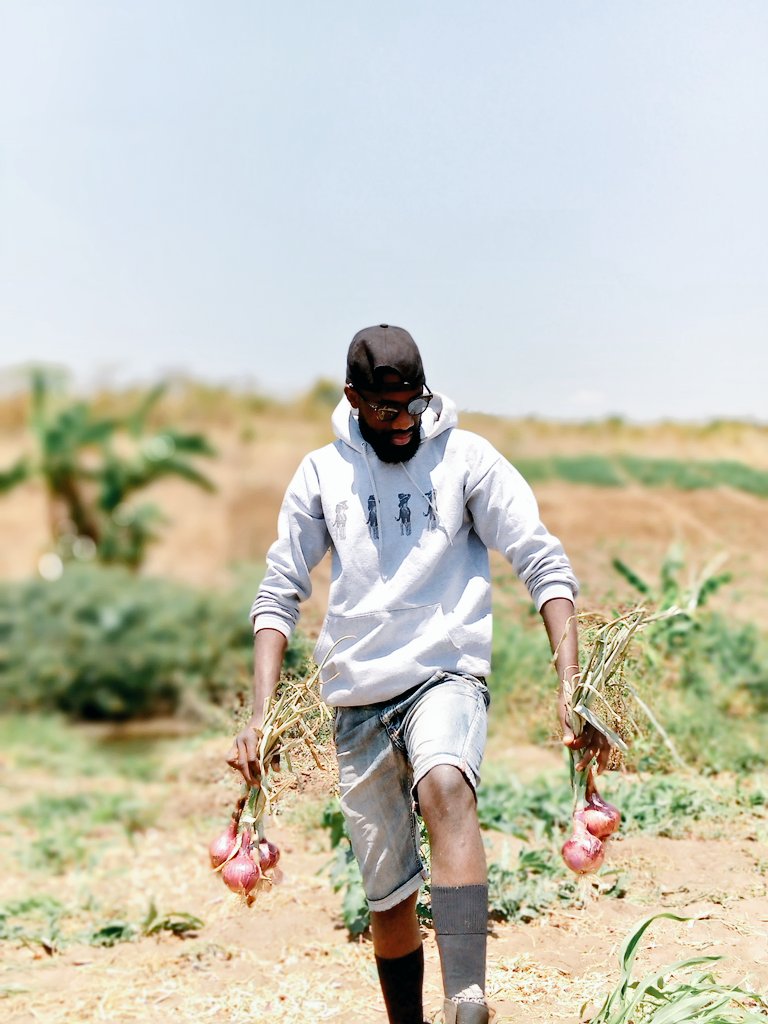 Fredies_98's tweet photo. In Zambia, you can either chose to be a producer or a consumer.
If you're a producer, you earn.
If you're a consumer, you spend.
Chose what you want to be.
Contact me for orders.
0972602095
The Farm Diaries.
#Zedfarmer
Old RT for awareness https://t.co/NLa0z8j9uv