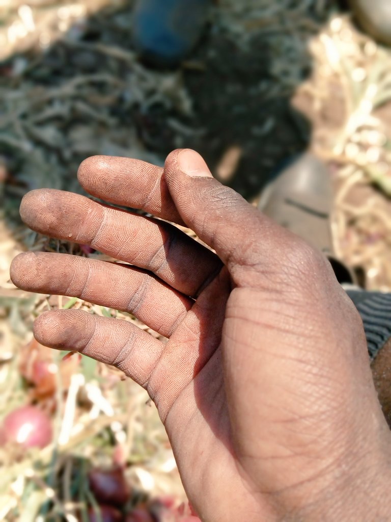 Fredies_98's tweet photo. In Zambia, you can either chose to be a producer or a consumer.
If you're a producer, you earn.
If you're a consumer, you spend.
Chose what you want to be.
Contact me for orders.
0972602095
The Farm Diaries.
#Zedfarmer
Old RT for awareness https://t.co/NLa0z8j9uv