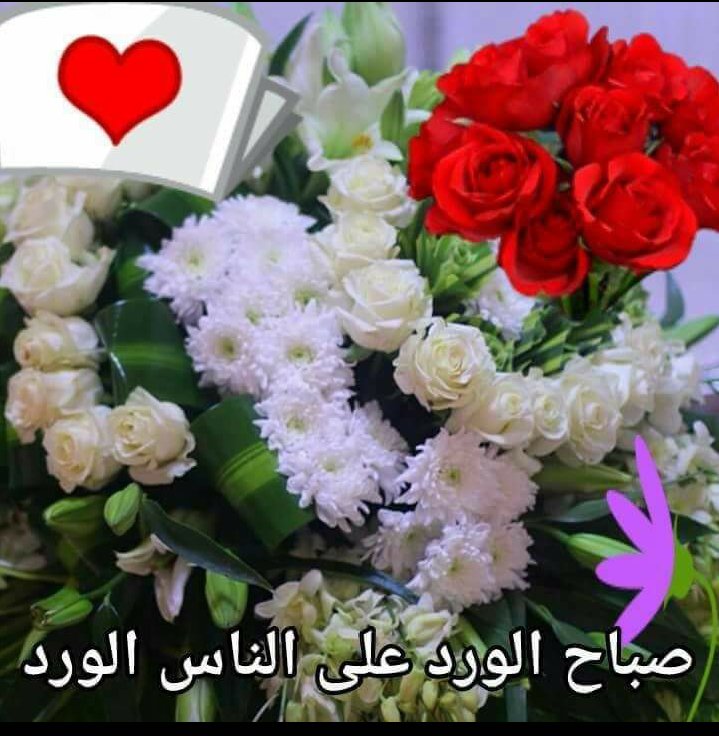 amaramen201560's tweet photo. @fSw3ed1aNBkkVBN https://t.co/xae5tiac12
