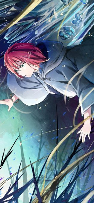 魔法使いの嫁のtwitterイラスト検索結果 古い順