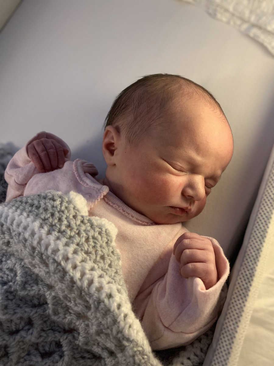 Adam Stadius tweet media