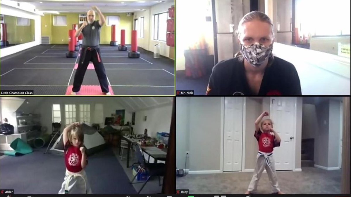 Bodyworks Karate has online classes for kids and teens. Look how great interactive karate can be! Visit bodyworkskarate.com for classes and scheduling #mediafit