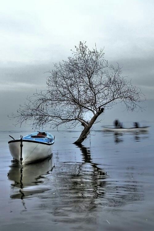 ���� ���� ������ �� ���� ������