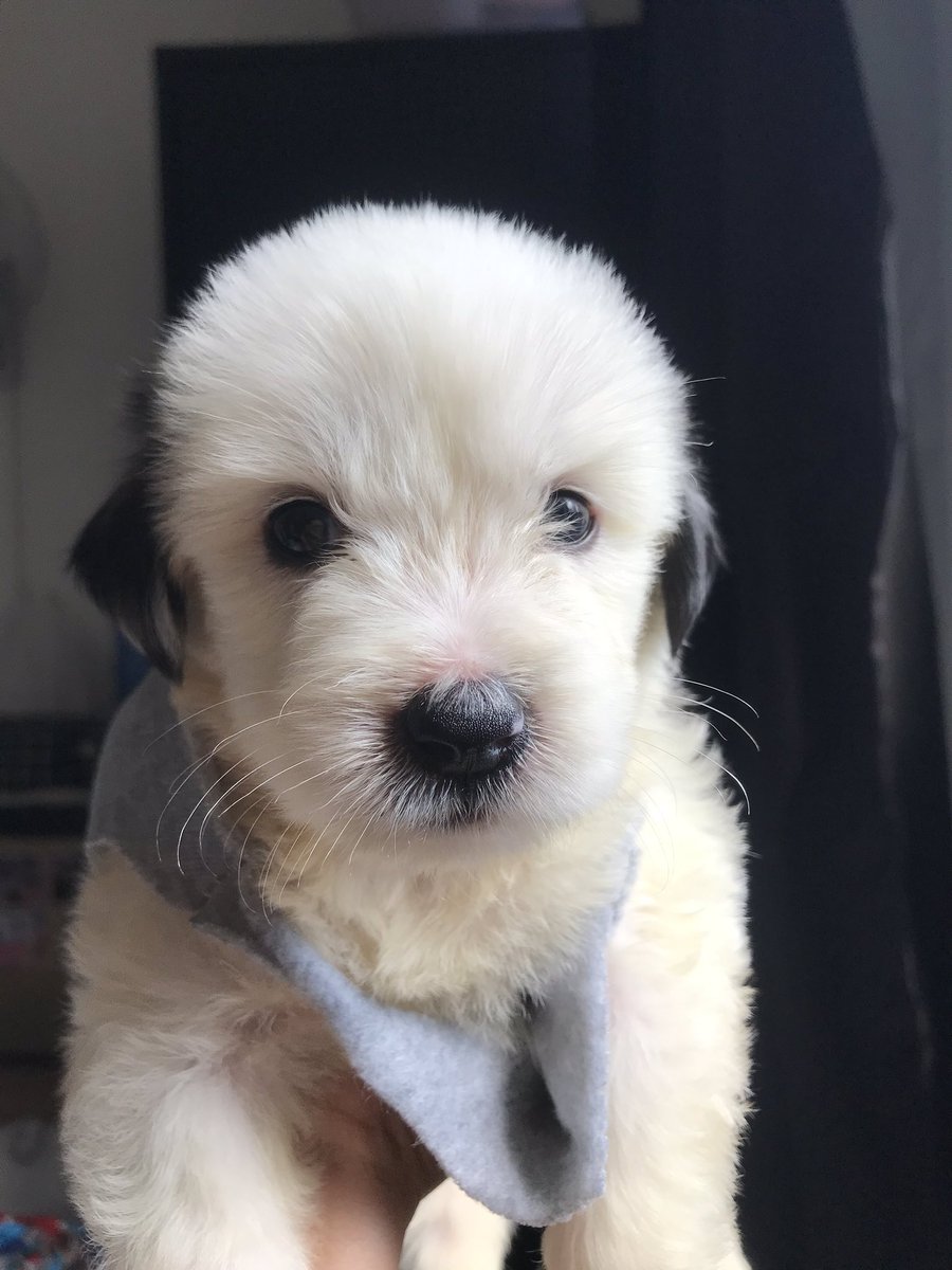 aaaroaa's tweet image. Welcome to my world, hun ❤️🥺