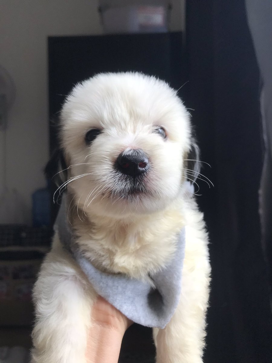 aaaroaa's tweet image. Welcome to my world, hun ❤️🥺