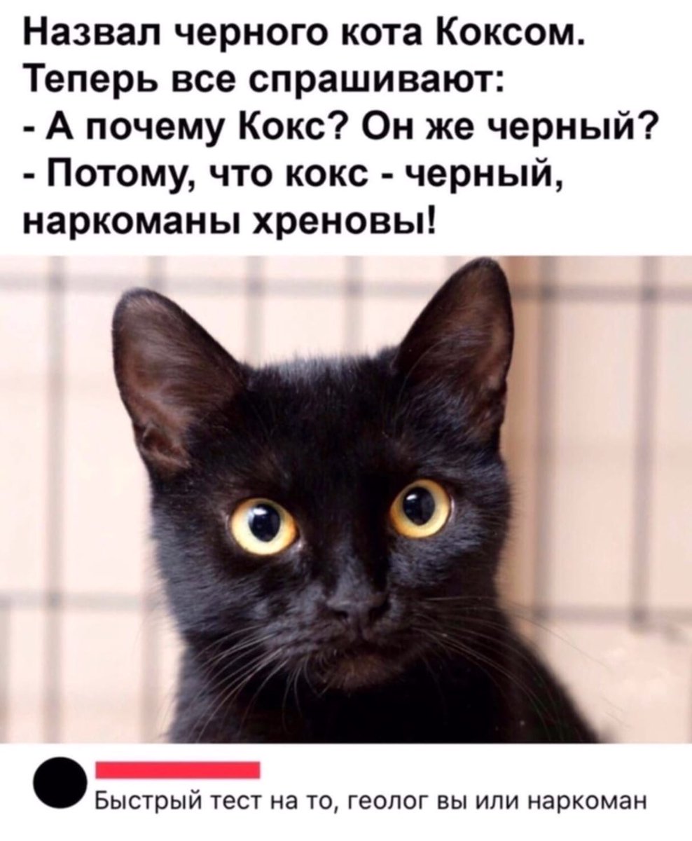 Почему кошку зовут кошку. Клички для черный котов. Имена для черных котов. Имена для чёрных котиков. Необычное имя для черного кота.