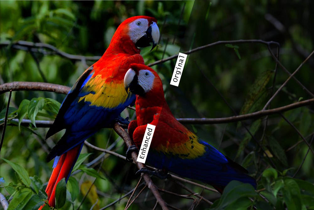 <a href="/sensifai/">Sensifai</a> Image and Video Enhancement App automatically improve your low-quality images using an advanced artificial intelligence (AI) method based on deep neural networks!
sensifai.com/news/image-and…
#AI #enhancement #Image #Video #photograghy