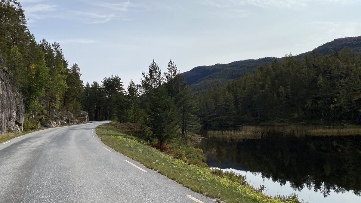 Vegar Kulset tweet media