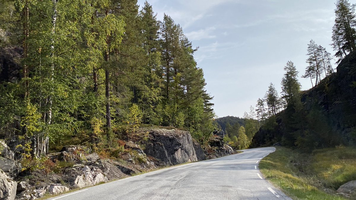 Vegar Kulset tweet media