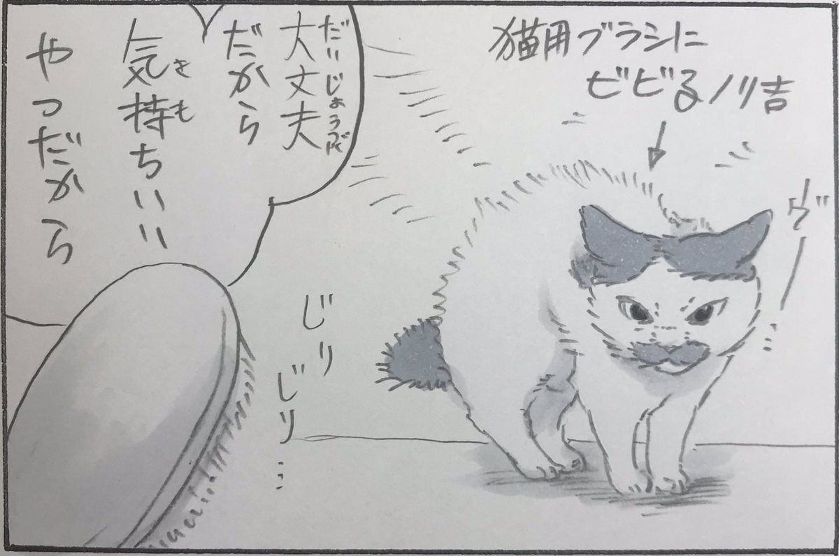 試せばわかる 猫用ブラシにビビる猫にブラシを当ててみたイラストに共感する人たち Togetter 試せばわかる 猫用ブラシにビビる猫にブラシを当ててみたイラストに共感する人たち Togetter