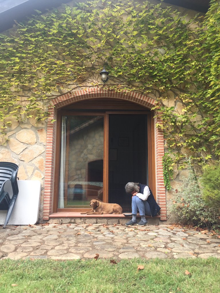 nicolett97's tweet photo. *intentando hacer una foto bonita*
Vera: k haces? https://t.co/xrxAiQefrI