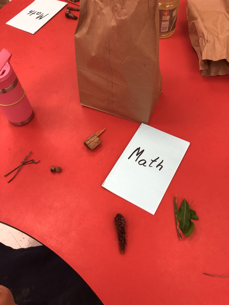 cduganv's tweet image. Sorting! Same and different! #developingroots #Mathology