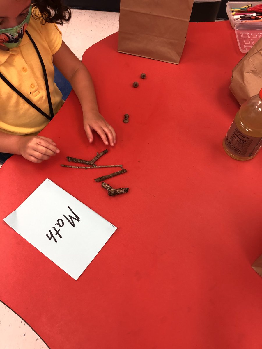 cduganv's tweet image. Sorting! Same and different! #developingroots #Mathology