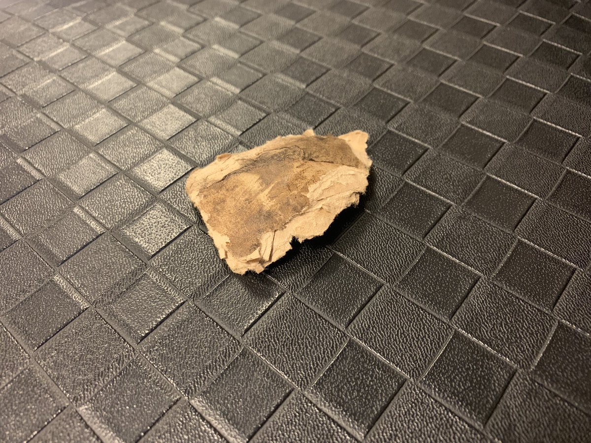 shinocchi46's tweet photo. ①前日の焼肉(3回目)
②この後色々やらかす人
③花火のかけら
④来年会いたいやつ
#PLACE2019 https://t.co/fCuyQB2wSi