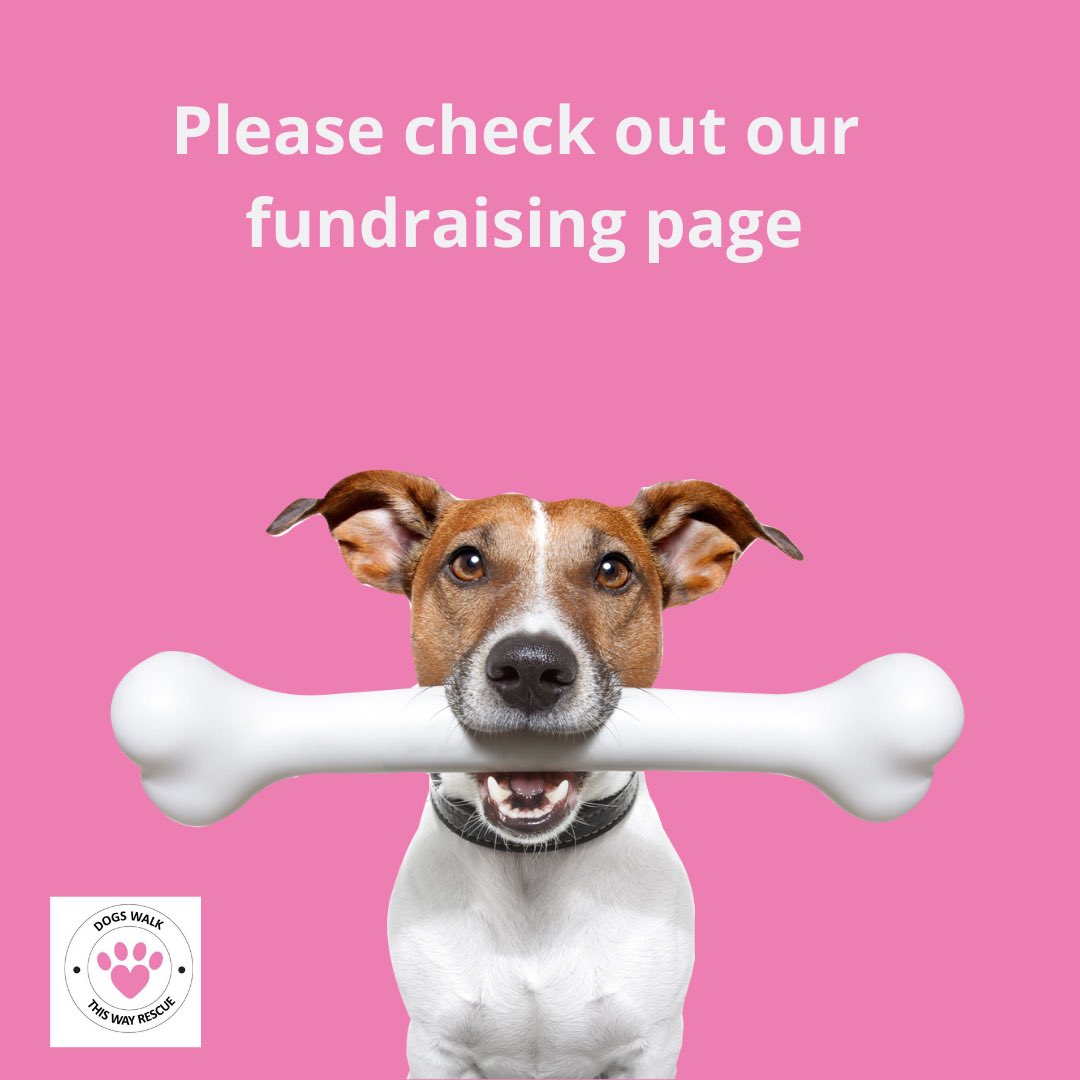 We are fundraising over on FB with a fab auction, please check it out facebook.com/DogsWalkThisWa… #dogrescue #fundraising