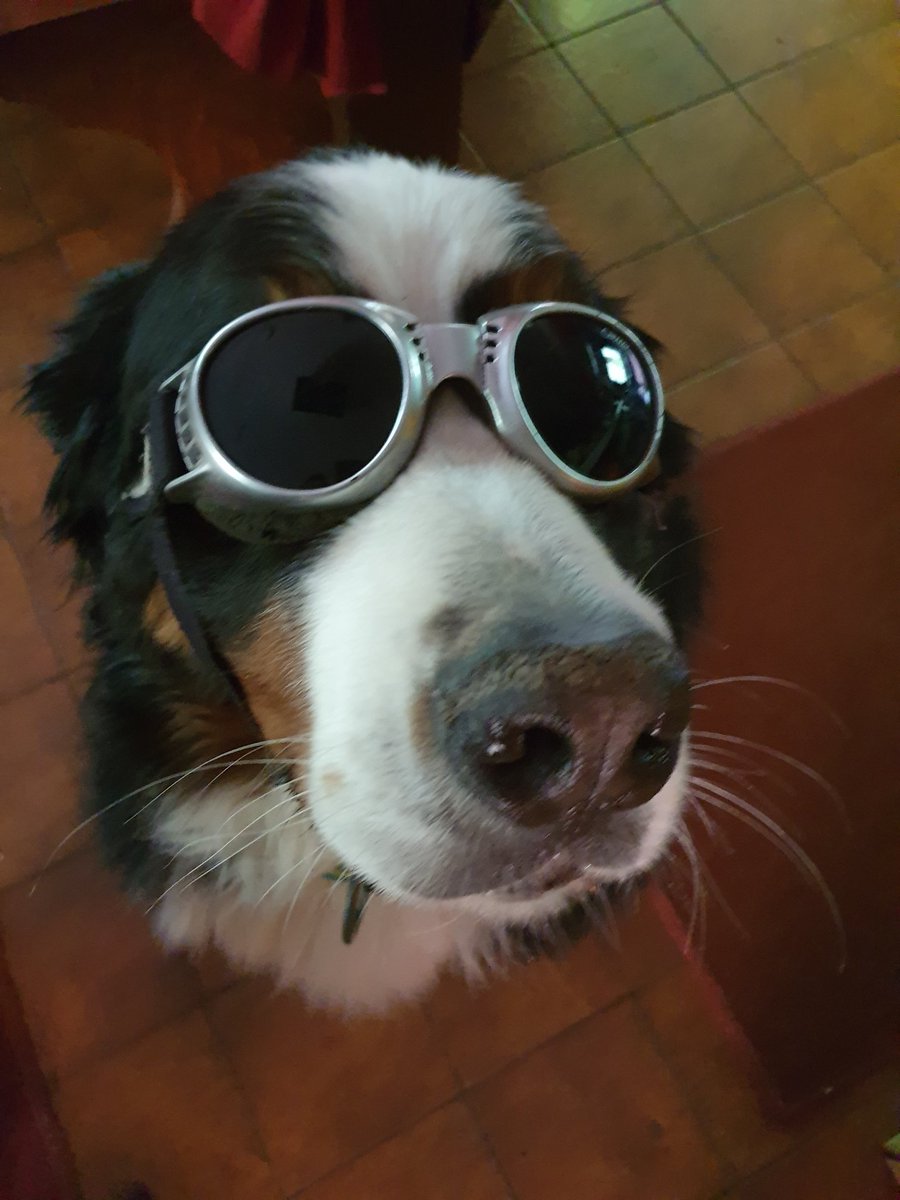 Unser Gelbes Rotes oder Blaues Ferienzimmer können Sie übrigens auch unter der Woche buchen Sprechen Sie uns an, unser Chef freut sich sehr #pfalz #suew #urlaub #ferien