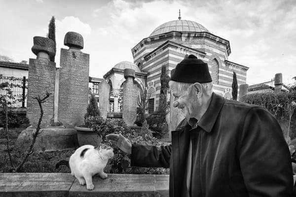 Her sözü üstüne alma!
Gördün, söyleme; bildin deme! 
Sevildiğin yere sık gidip gelme;
Muhabbet ve itibarın zedelenir.

- Şeyh Edebali