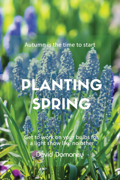 Despite the dark evenings and drizzly, cold weather, autumn is the best time for planting bulbs. And nothing lifts the spirits after a long winter than the sight of the first spring flowers. 

👉 bit.ly/328b9F8

#garden #gardening
