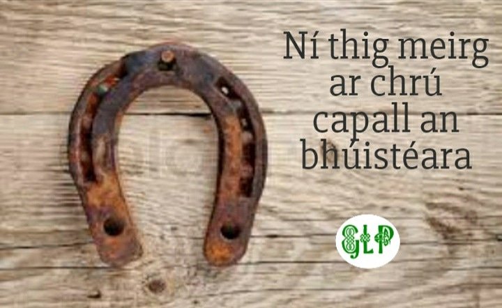GaeilgeP's tweet photo. Ní thig meirg ar chrú capall an bhúistéara #meirg #capall #gluaiseacht #búistéir #seanfhocal #gaeilge #gaeilgelepád #glp https://t.co/U2VakyN1sM