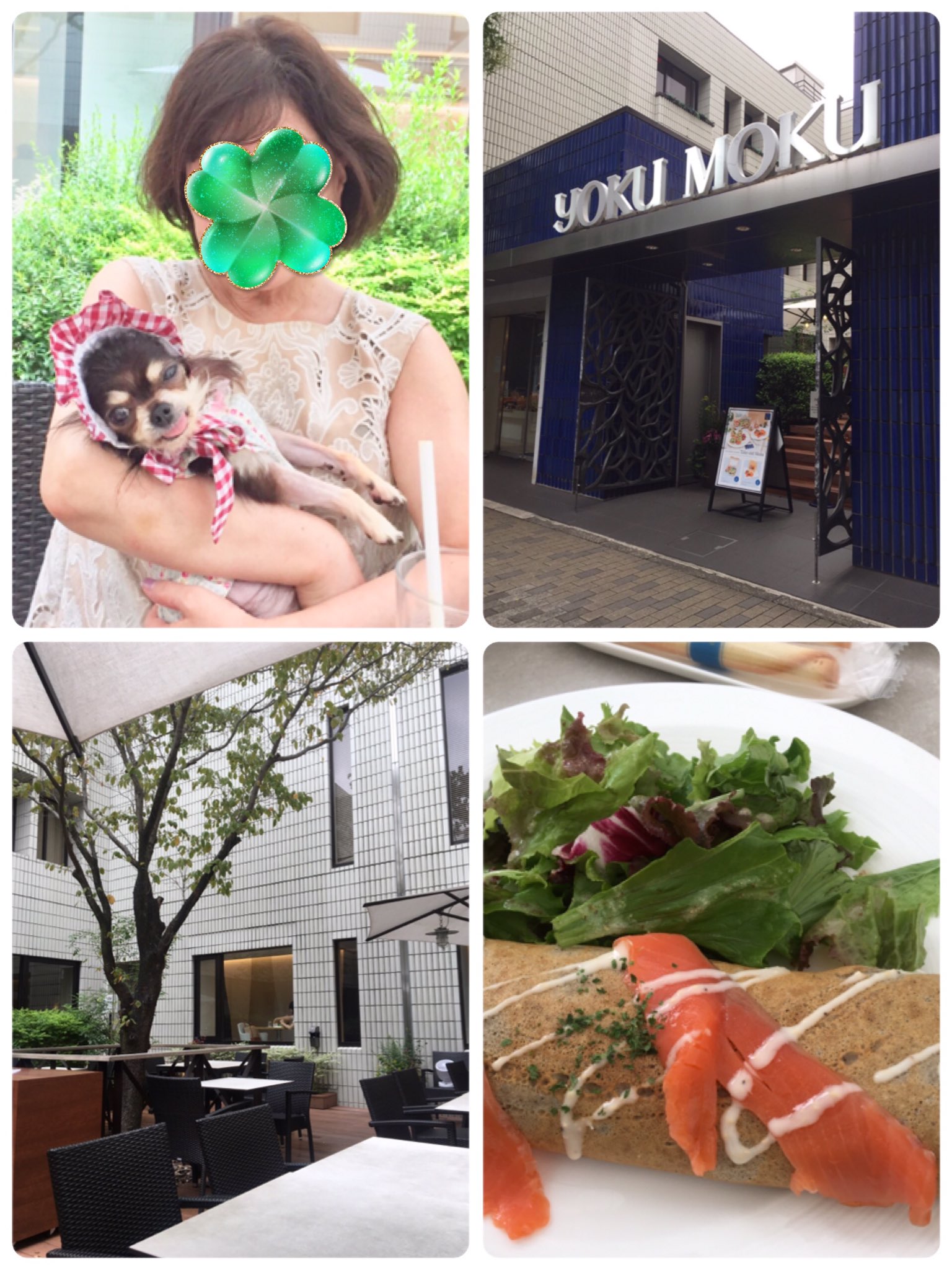 ヨックモック青山本店 Twitter Search Twitter