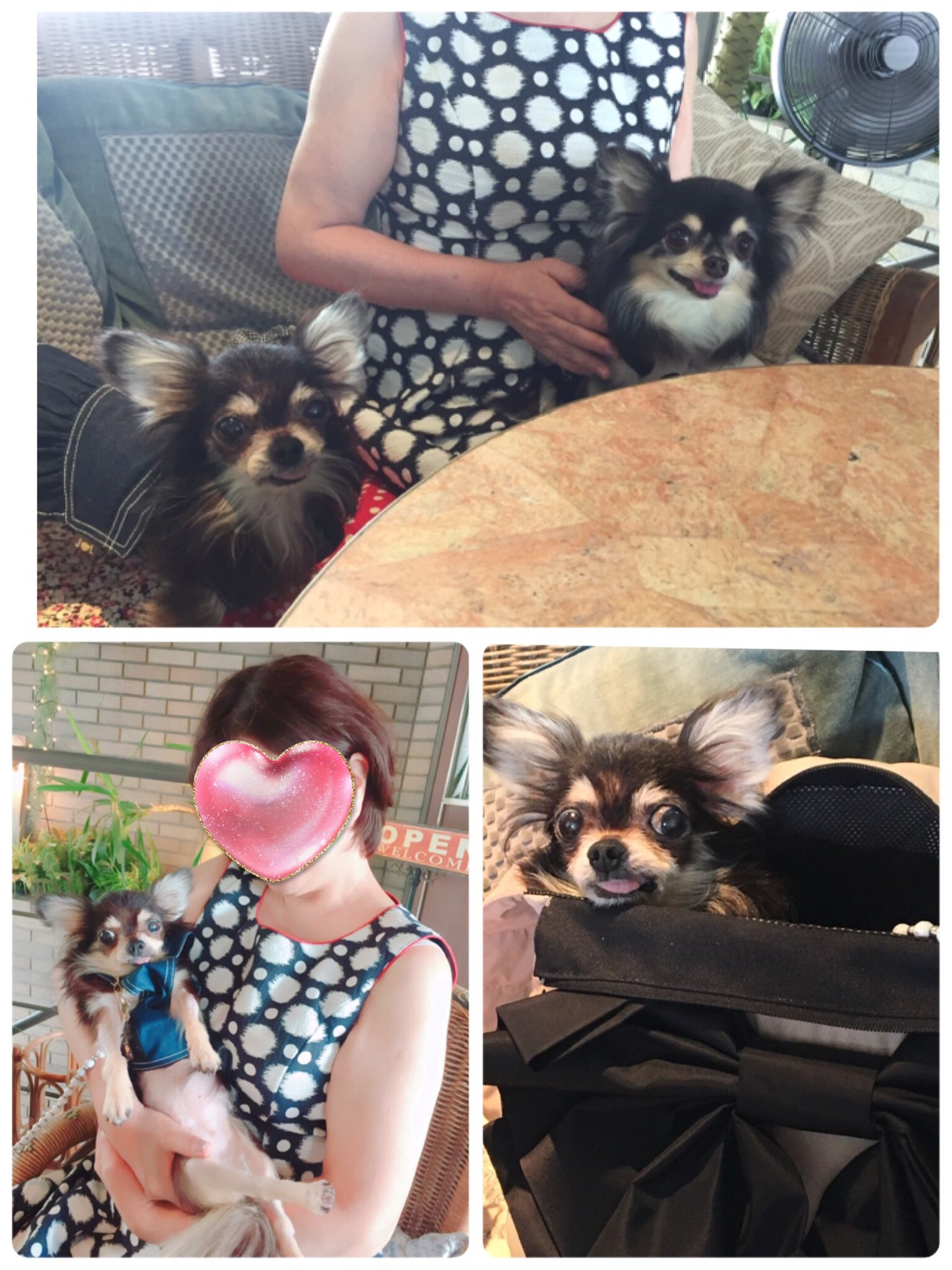 ヨックモック青山本店 Twitter Search Twitter