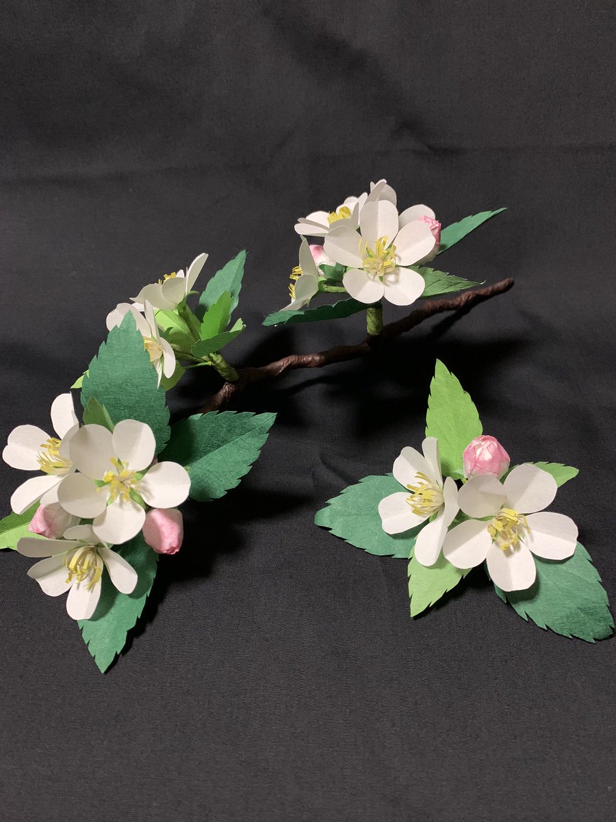 Twoucan りんごの花 の注目ツイート イラスト マンガ コスプレ モデル
