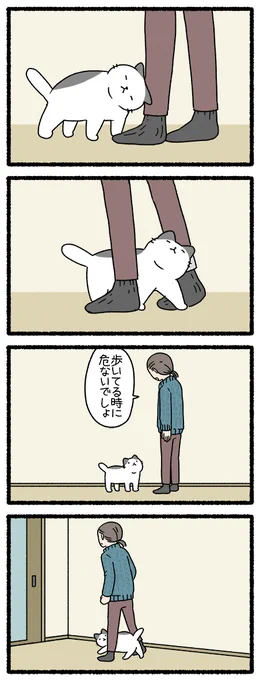 ねこようかい すねこすり
#ねこようかい 