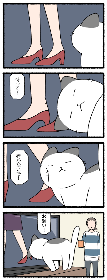 ねこようかい すねこすり
#ねこようかい 