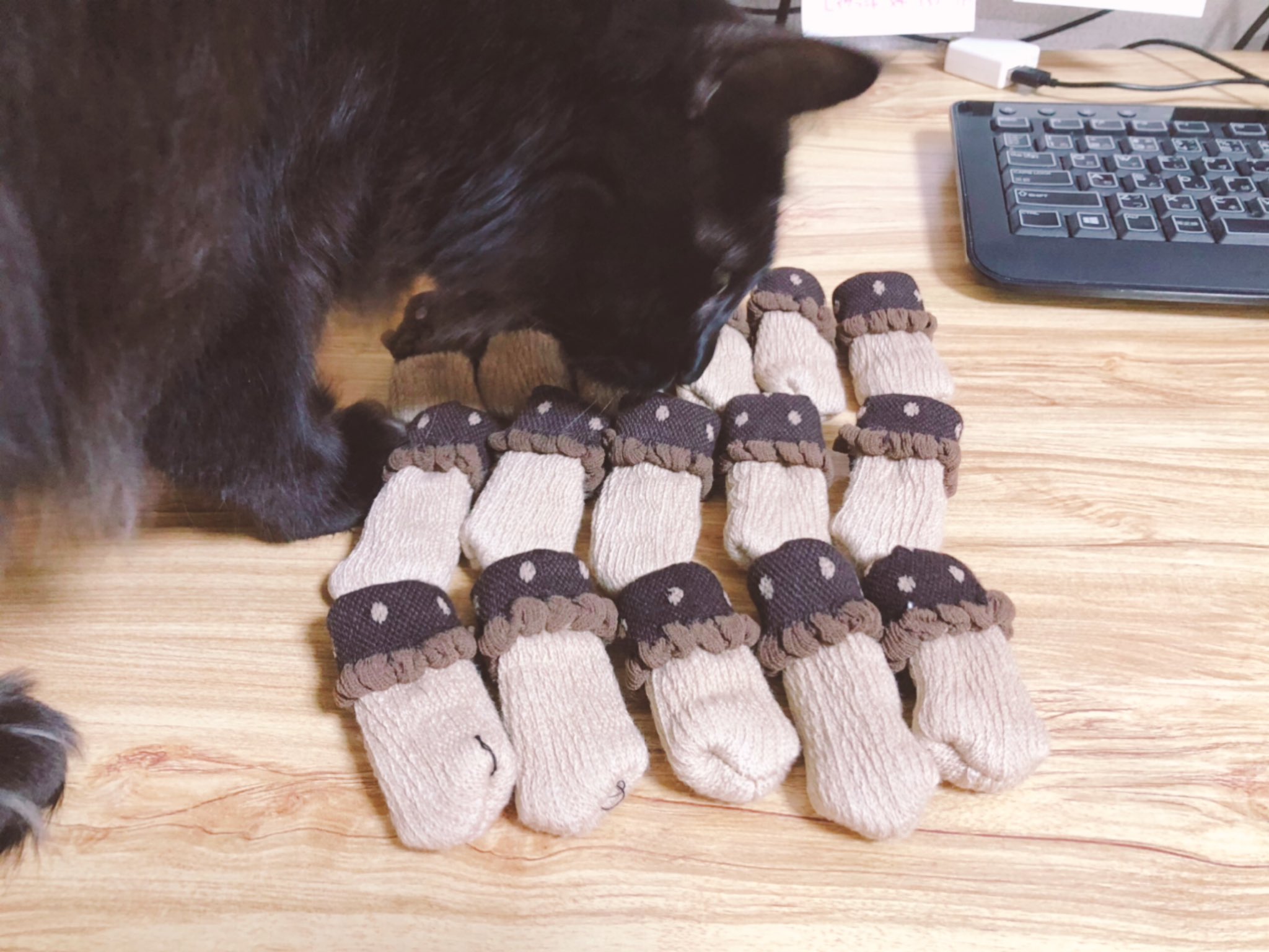 こばち のりちゃんがルーズソックスにしちゃった靴下新調した T Co Hstljhaaxm Twitter