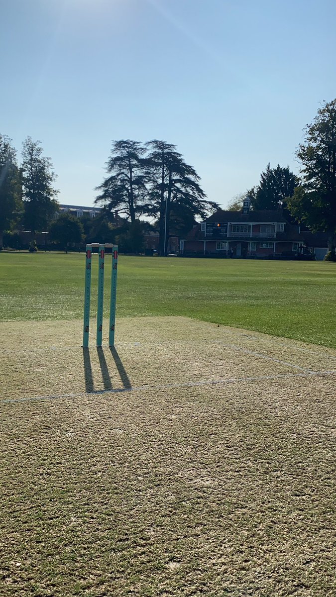 WellyCricket's tweet photo. All set for day one of summer 2020 #SeptemberCricket https://t.co/fXV850mff3