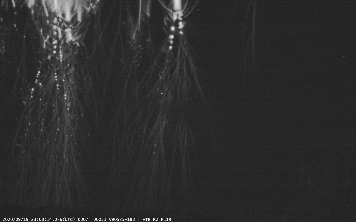ogvt_fr's tweet photo. Voici une photo prise par la caméra FLIR : Sprite au-dessus du sud de la France (distance environ 450km) https://t.co/VqQIzAL5Lo