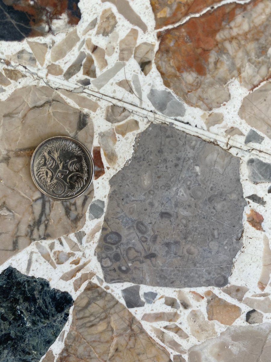 Oncoid ooid grainstone. These beautiful coated grains likely formed in some shallow or intertidal ancient seawater environment. They might have been a bit slimy, washing around in the waves, covered in microbes. Please take me to find more in the Bahamas or Bermuda.