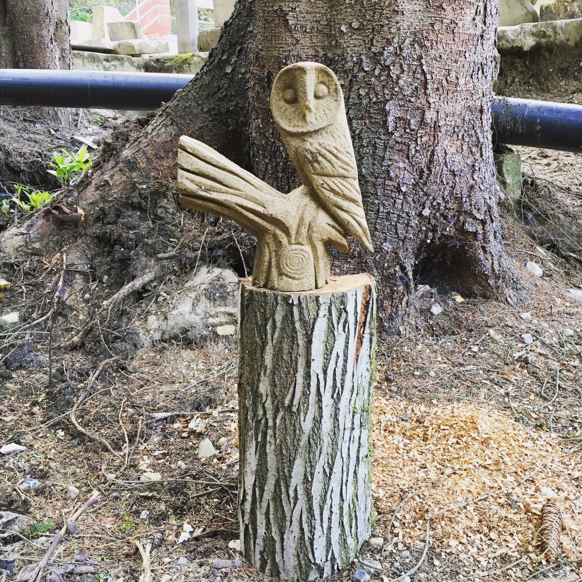Good morning #UKgiftAM this is another hand carved owl in local stone aimed at being more affordable happy Sunday all #handmade #handmadegifts #affordableart #PeakDistrict #UKGiftAM #Derbyshire