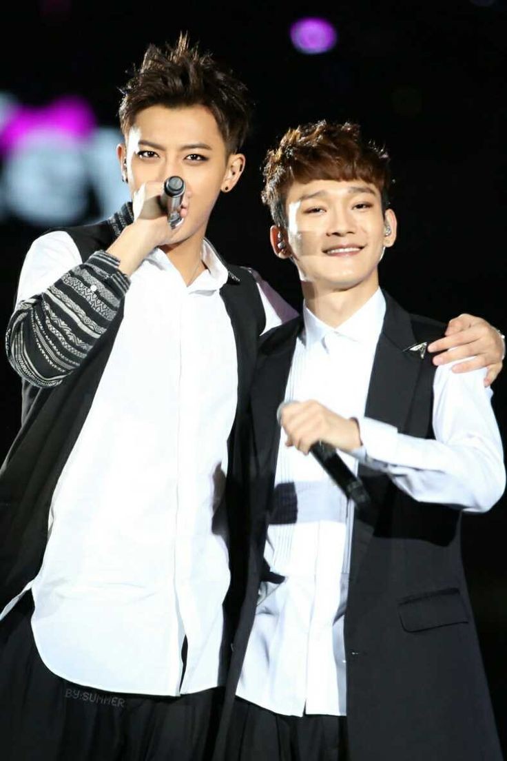 chen and tao 