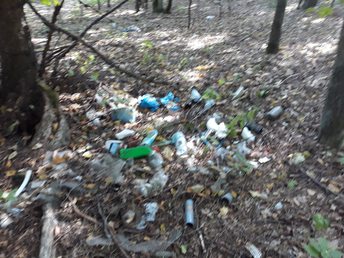 budzynskiradek's tweet photo. Lasy polskie. Piękno i brzydota. Grzybobranie
#ecologic #noneco #las #forest @LPanstwowe https://t.co/3egGOKXEow