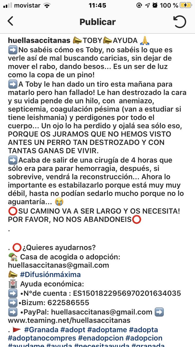 lasinverguenzx's tweet image. Ayudémosle como sea 🙏🏽
Se me ha roto el corazón en mil