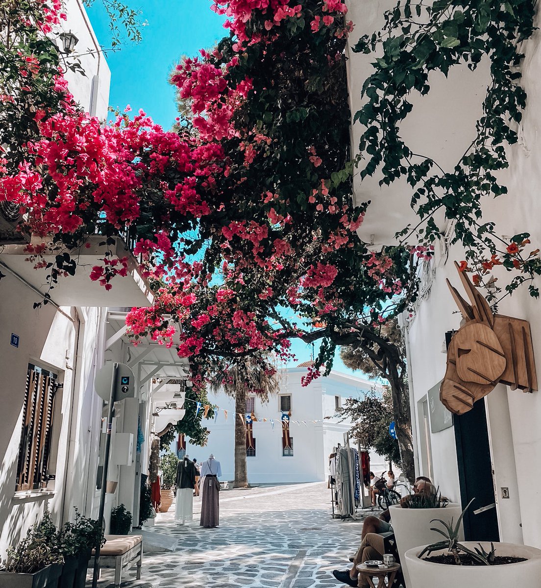 chachaabrtn's tweet photo. la Grèce c’est tellement beau 🇬🇷🌺 https://t.co/RquYtNzlsH