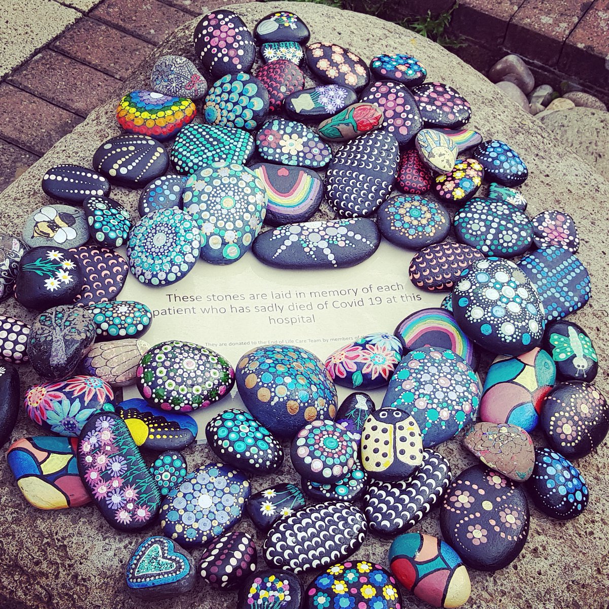 SaTHCCOT tweet media