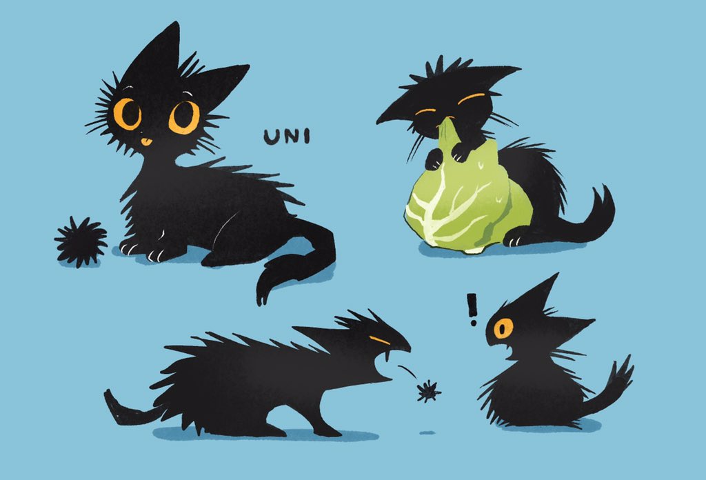 no humans ! simple background cat blue background black cat animal focus  illustration images