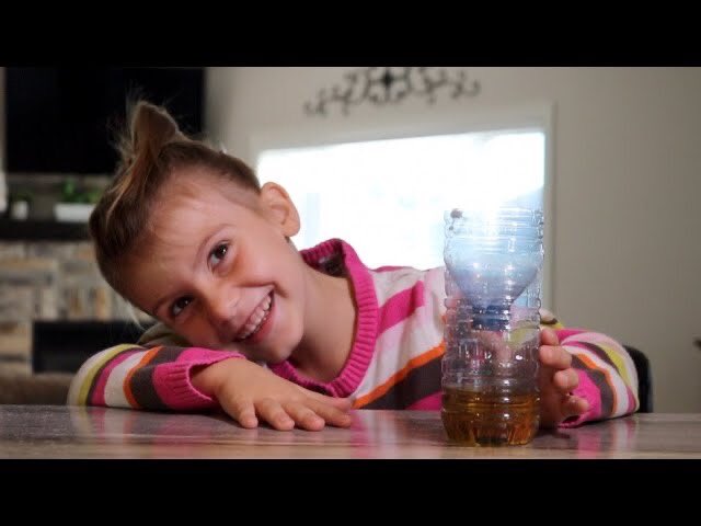 Get rid of fruit flies by making your own FRUIT FLY TRAP youtu.be/2WvGL1JpanU via <a href="/YouTube/">YouTube</a> #STEMeducation #DIY