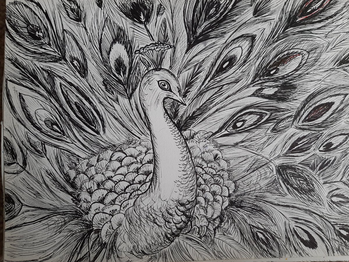 3 peacocks, 3 different mediums finally finished! 
#SundayThoughts #art #artworks #birds #abstractart #hobby