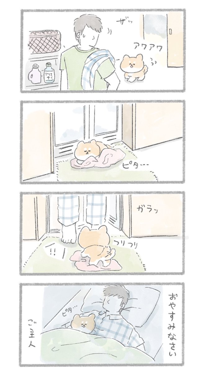 そばにいたい
#こんにちはいぬ 